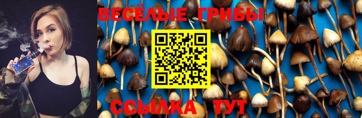 Псилоцибиновые грибы Psilocybine cubensis  Псилоцибиновые грибы Psilocybe  Вход с VPN  Юрга 
