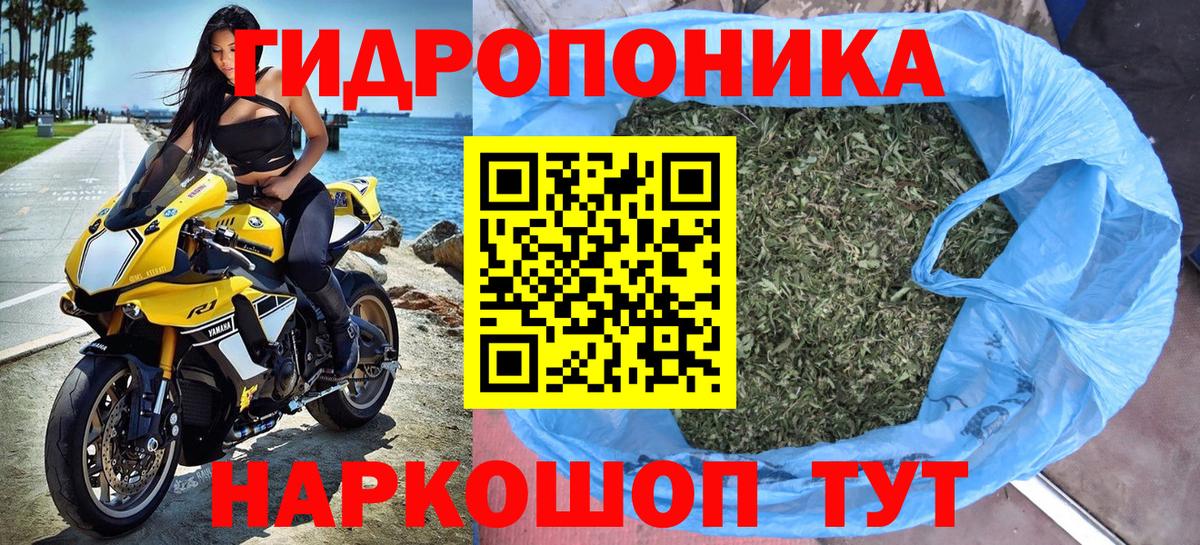 Марихуана индика Юрга